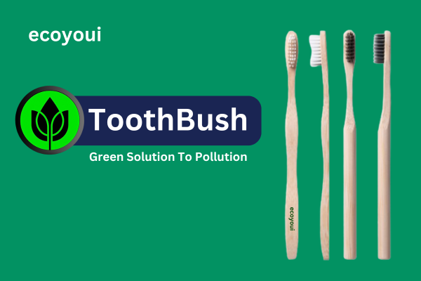 Ecoyoui Toothbrush