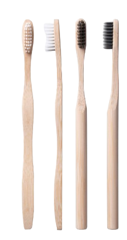 ecoyoui toothbrush