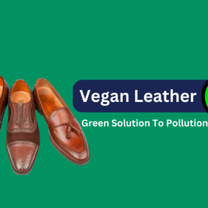 Vegan Leather