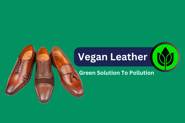 Vegan Leather