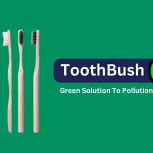 ecoyoui toothbrush product