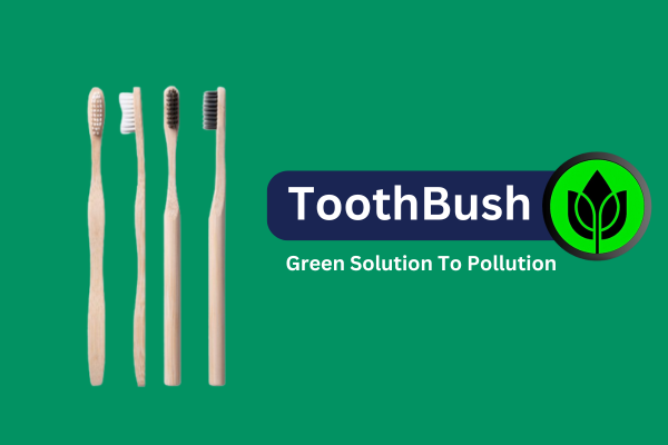 ecoyoui toothbrush product